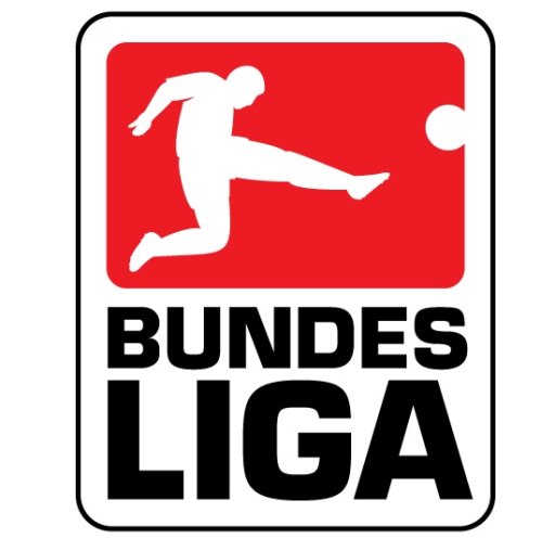 Bundesliga Jersey